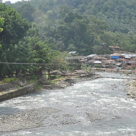 Fun Family Guest House N Jungle Tour Bukit Lawang Exteriör bild